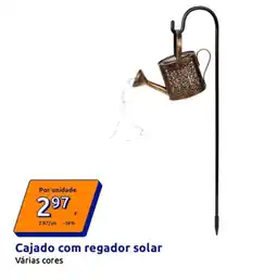 Action Cajado com regador solar promoção