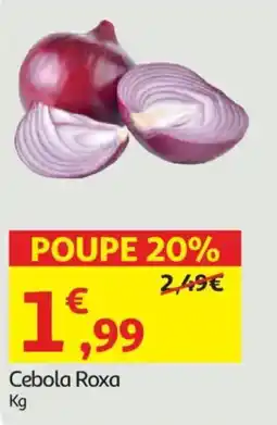 Auchan Cebola Roxa promoção