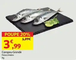 Auchan Carapau Grande Fresco Inteiro promoção