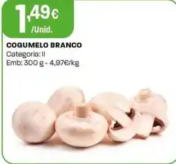 Intermarché Cogumelo branco promoção