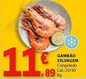 E.Leclerc Gambão selvagem promoção