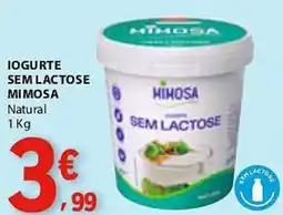 E.Leclerc Iogurte sem lactose mimosa natural promoção