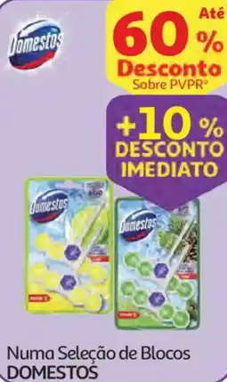 Auchan Numa Seleção de Blocos DOMESTOS promoção