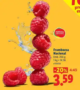 Lidl Framboesa Nacional promoção