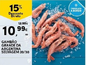 Continente Gambão Grande da Argentina Selvagem 20/30 promoção