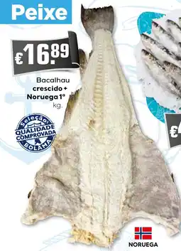 Bolama Bacalhau crescido + Noruega 1ª promoção