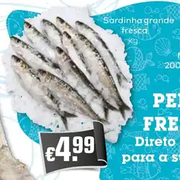Bolama Sardinha grande fresca promoção