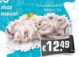 Bolama Polvo pequeno fresco promoção