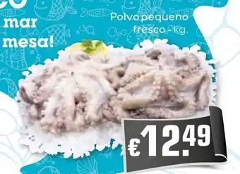 Bolama Polvo pequeno fresco promoção