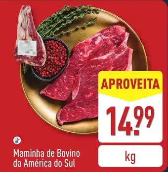 ALDI Maminha de Bovino da América do Sul promoção