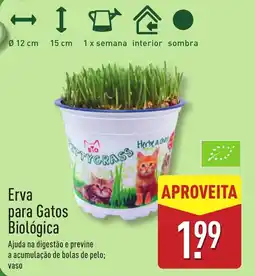 ALDI Erva para Gatos Biológica promoção