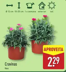 ALDI Cravinas Vaso promoção