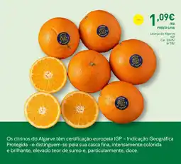 Recheio Laranja do Algarve IGP Cal. 3/4/5/6/7/8 promoção