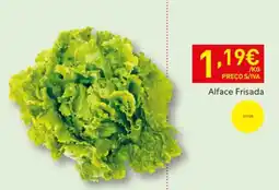 Recheio Alface Frisada promoção