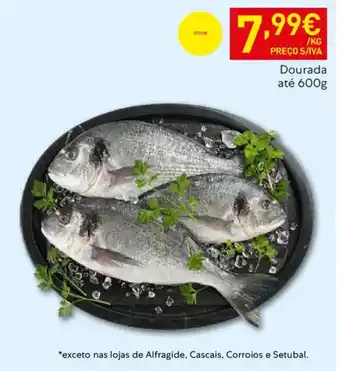 Recheio Dourada promoção