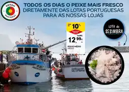 Continente Bom dia Polvo médio fresco promoção