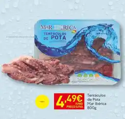 Recheio Tentáculos de Pota Mar Ibérica promoção