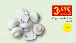 Recheio Cogumelo Branco Granel promoção