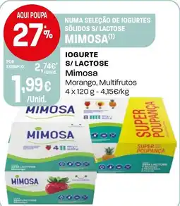 Intermarché Iogurte s/ lactose Mimosa promoção