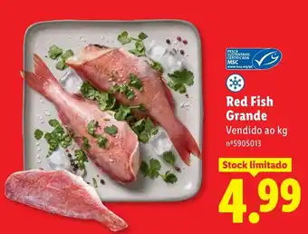 Lidl Red Fish Grande promoção