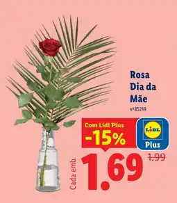 Lidl Rosa Dia da Mãe promoção
