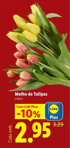 Lidl Molho de Tulipas promoção