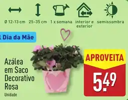 ALDI Azálea em Saco Decorativo Rosa promoção