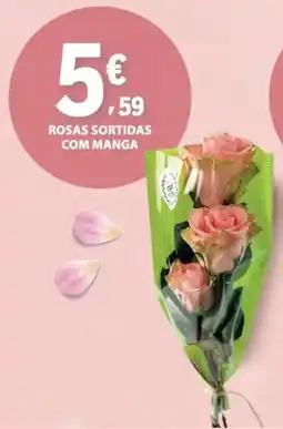 E.Leclerc Rosas sortidas com manga promoção