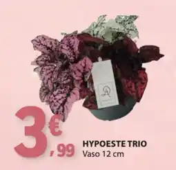 E.Leclerc Hypoeste trio promoção