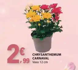 E.Leclerc Chrysanthemum carnaval promoção