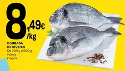 Intermarché Dourada de viveiro promoção