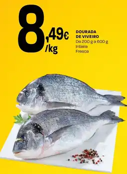 Intermarché Dourada de viveiro promoção