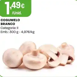 Intermarché Cogumelo branco promoção