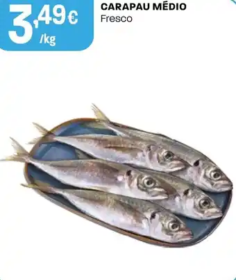 Intermarché Carapau médio fresco promoção