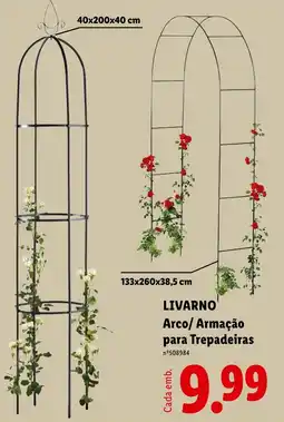 Lidl LIVARNO Arco/Armação para Trepadeiras promoção