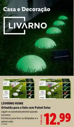 Lidl LIVARNO HOME Grinalda para o Solo com Painel Solar promoção