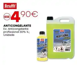 Roady Anticongelante promoção