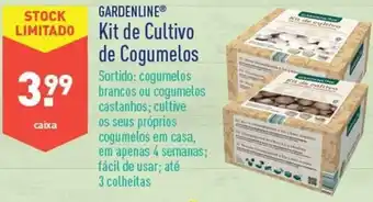 ALDI Gardenline Kit de Cultivo de Cogumelos promoção