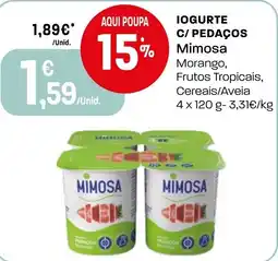 Intermarché Iogurte c/ pedaços mimosa promoção