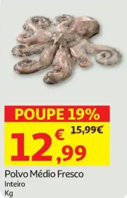 Auchan Polvo Médio Fresco Inteiro promoção