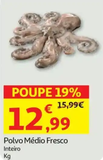 Auchan Polvo Médio Fresco Inteiro promoção