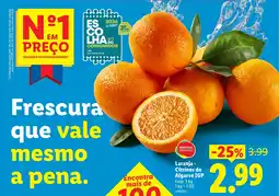 Lidl Laranja - Citrinos do Algarve IGP promoção