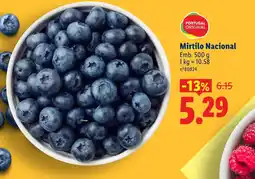 Lidl Mirtilo Nacional promoção