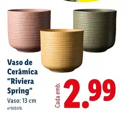 Lidl Vaso de Cerâmica "Riviera Spring" promoção