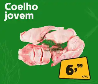 Coelho jovem