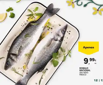Continente Robalo nacional promoção