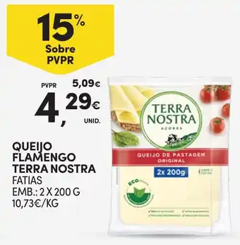 Continente Queijo flamengo terra nostra fatias promoção