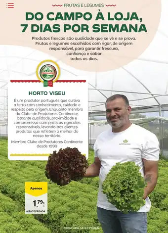 Continente Alface frisada promoção