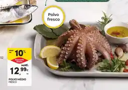 Continente Polvo médio promoção