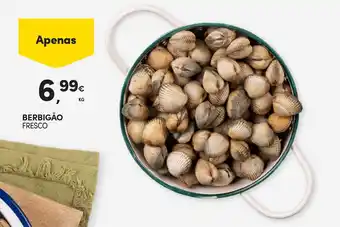 Continente Berbigão fresco promoção